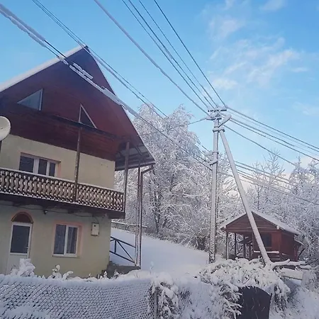 דירה карпатський будинок איזקי